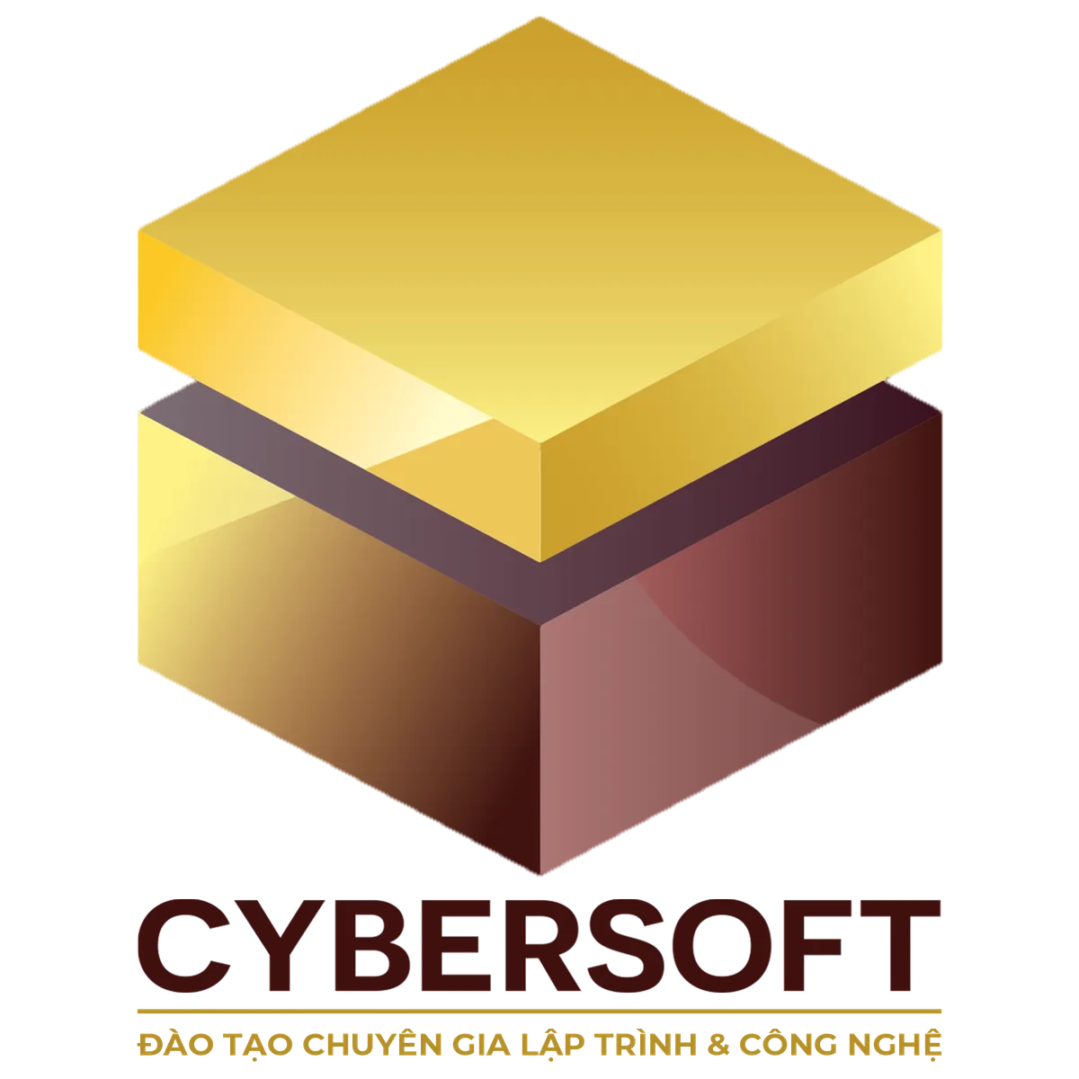 CyberSoft